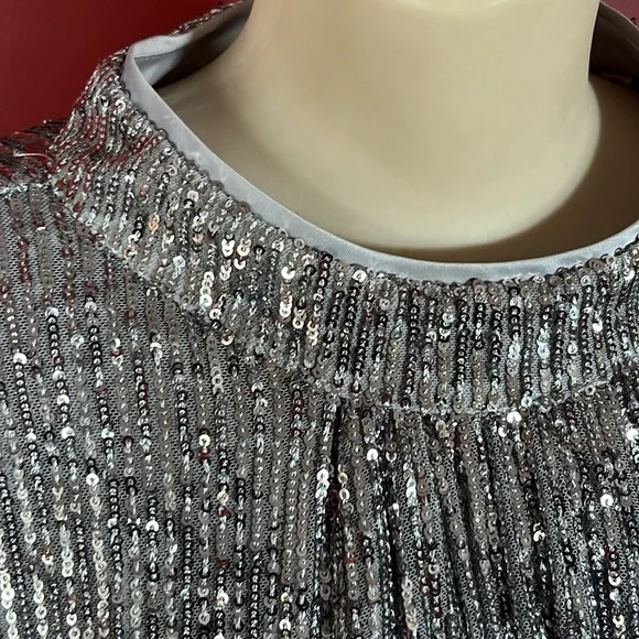 BNWOT Soft surroundings silver sparkly, long sleeve, formal lined top - Picture 2 of 16